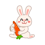 carrot rabbit 828